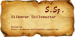 Silberer Szilveszter névjegykártya